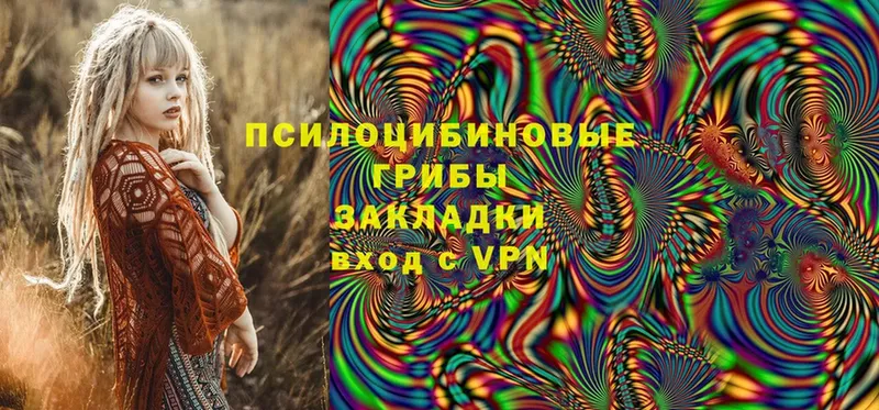 Псилоцибиновые грибы GOLDEN TEACHER  купить   Верхоянск 